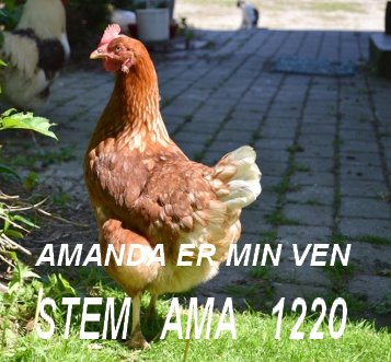 AMA SMS 1220